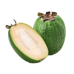 A tasty pair of Feijoas