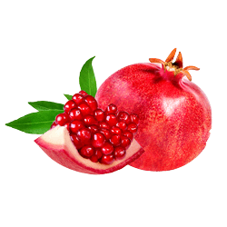 A ripe, freshly cut pomegranate.