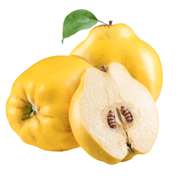 A delicious looking quince.
